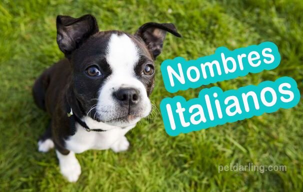 Ideas de Nombres italianos para pizzer&iacute;as
