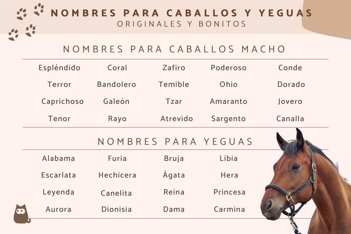Ideas de Nombres para Carnicerías: