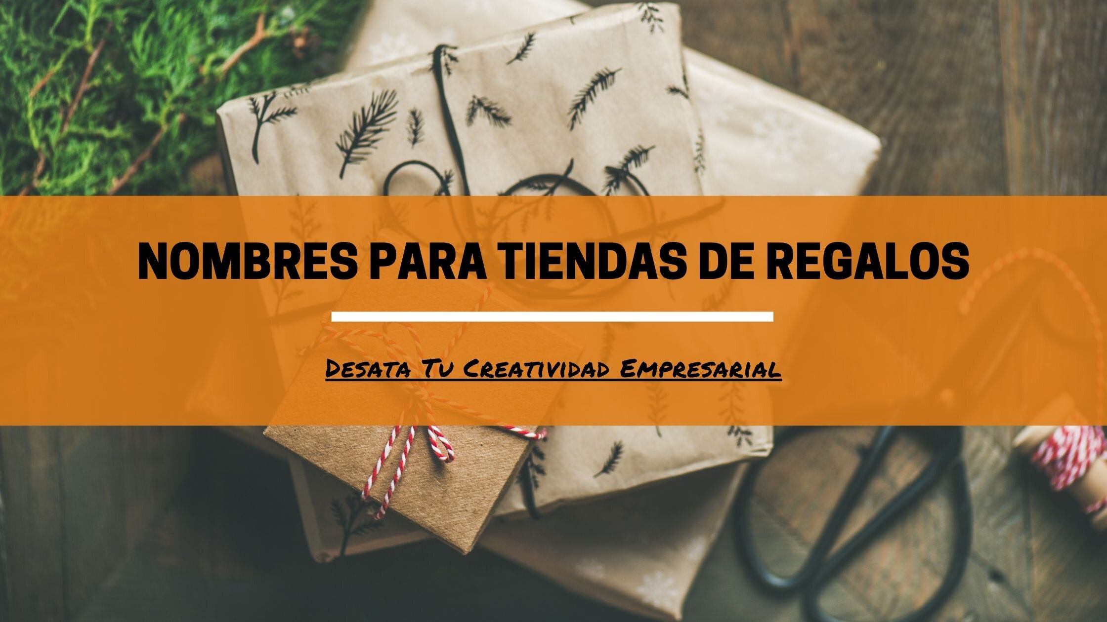 Ideas de Nombres para Distribuidoras