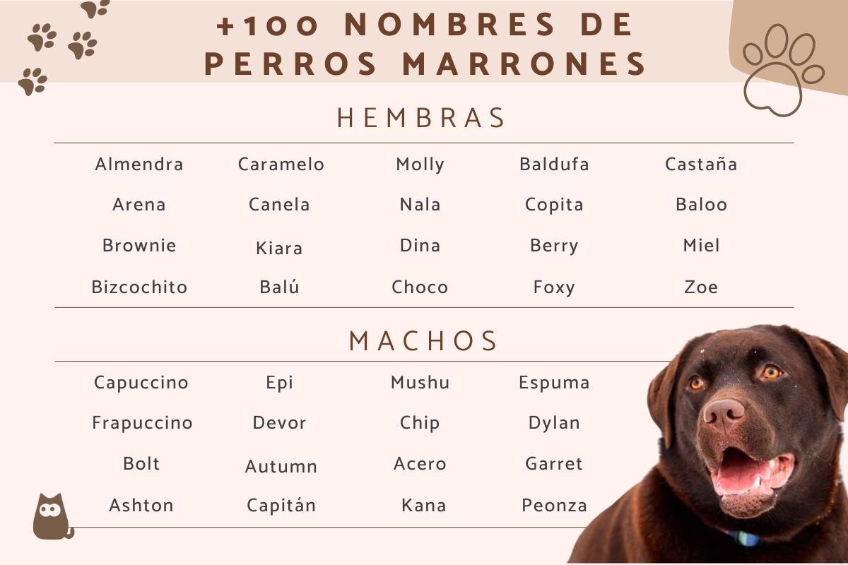 Ideas de Nombres para proyectos