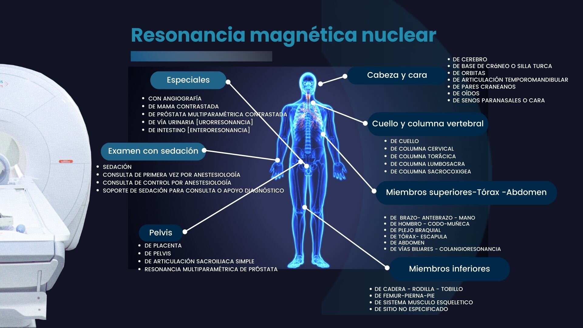 3. Más Allá de la Estética: La Resonancia Duradera